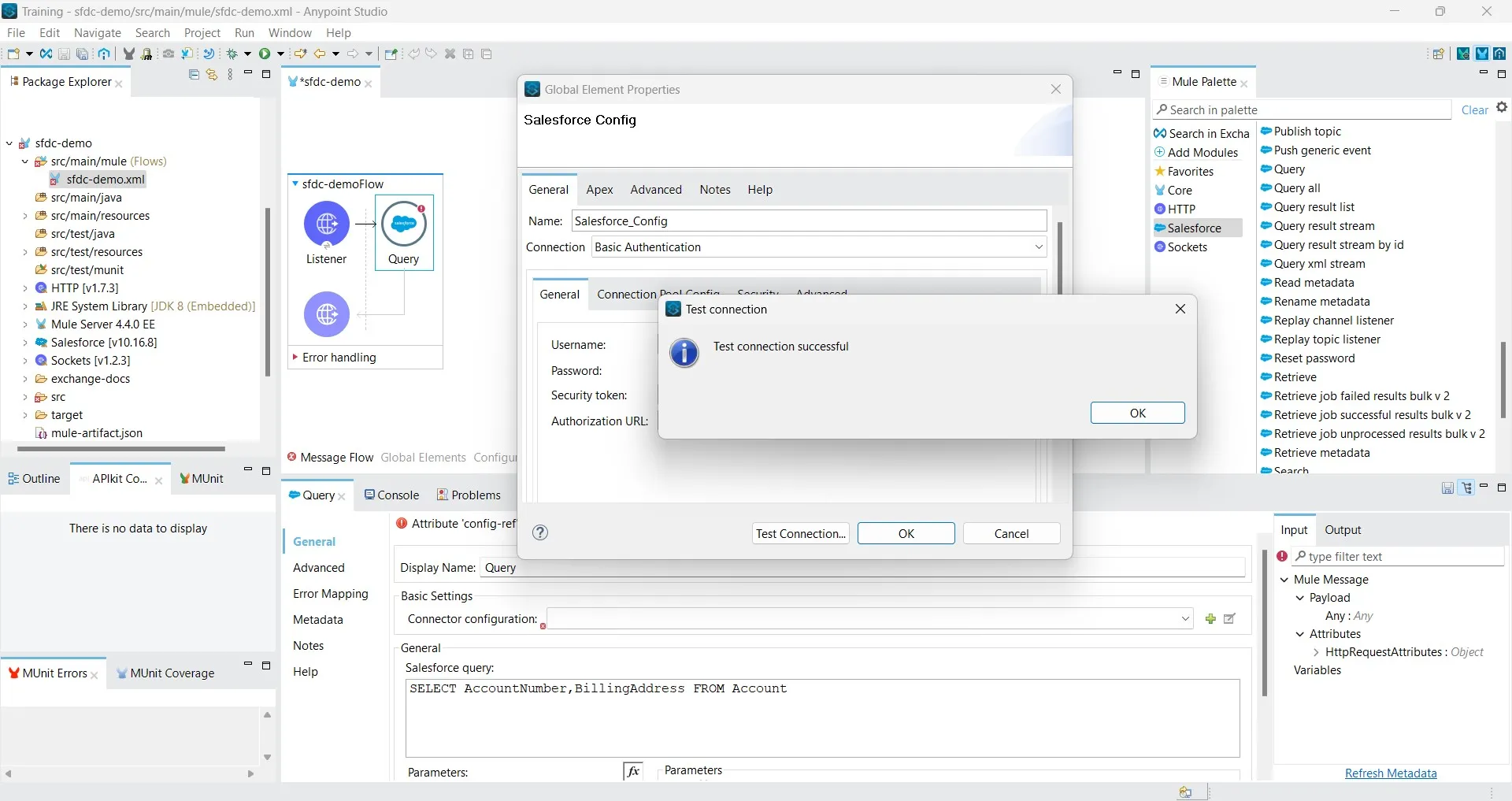 Salesforce Connector Configuration and Query Operation